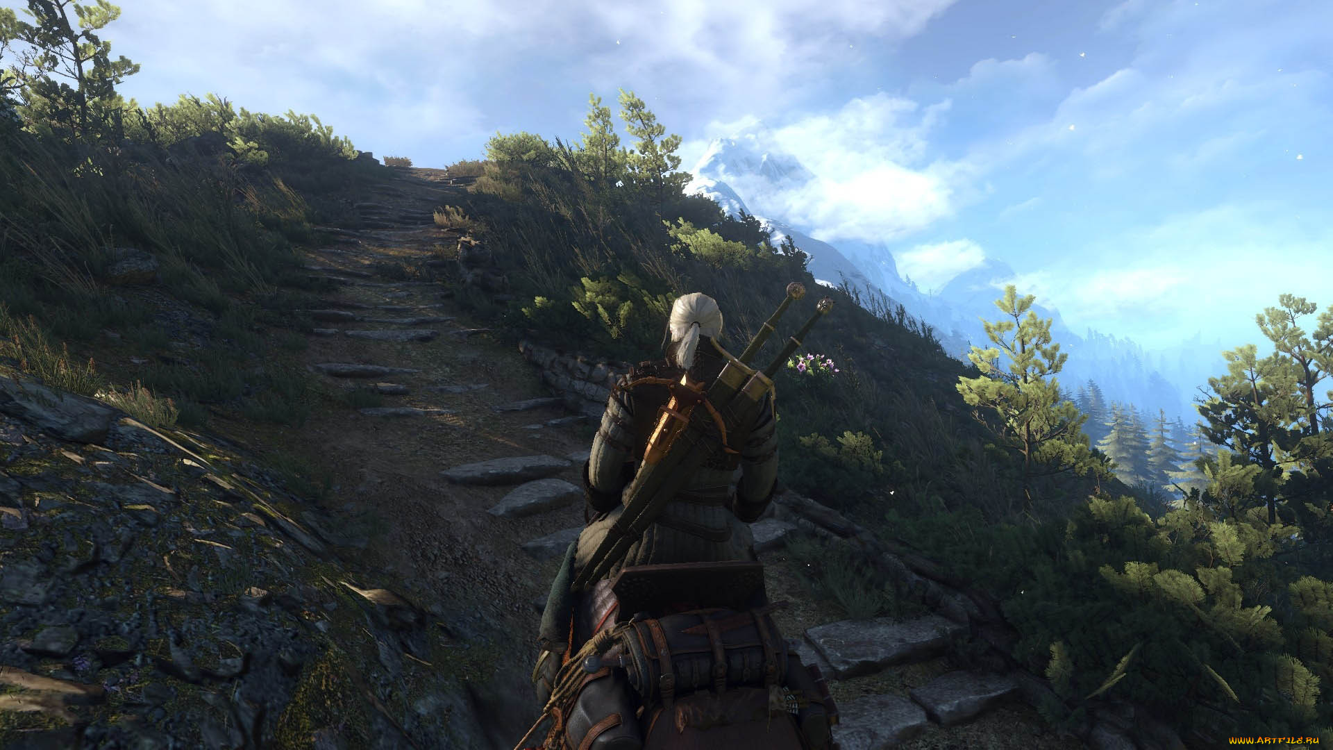  , the witcher 3,  wild hunt, 